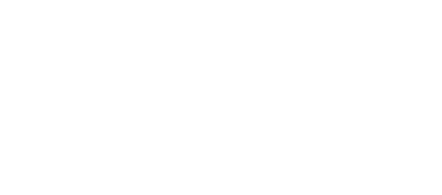 Boldrocchi