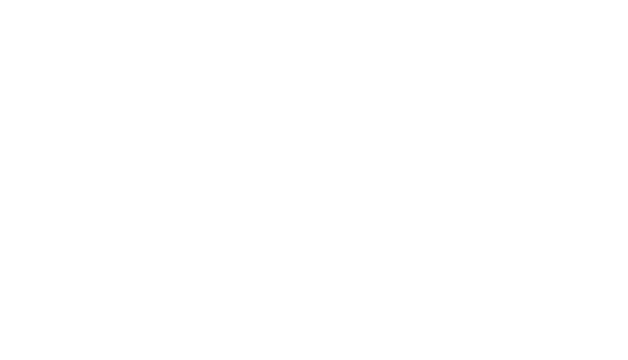 grenzebach