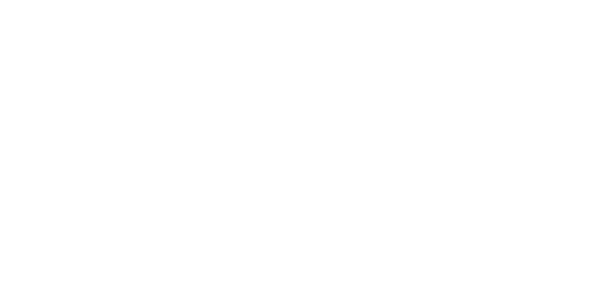 Sinelec